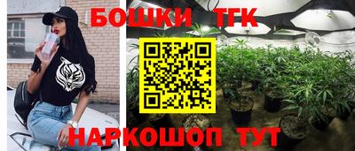 дживик Славгород