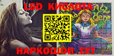 прущий лед Сланцы