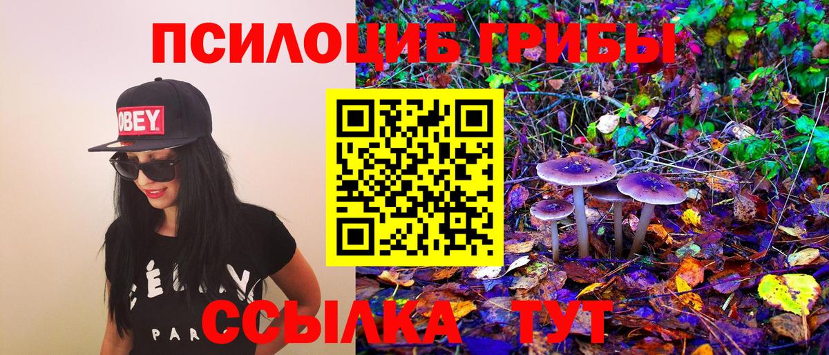 Усинск  Галлюциногенные грибы MAGIC MUSHROOMS  Вход с VPN  Псилоцибиновые грибы Psilocybine cubensis 